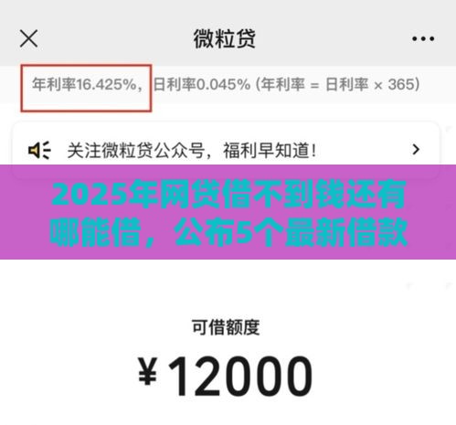 2025年网贷借不到钱还有哪能借，公布5个最新借款平台借钱利息低