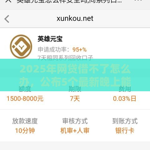 2025年网贷借不了怎么办，公布5个最新晚上能秒下款的高炮口子