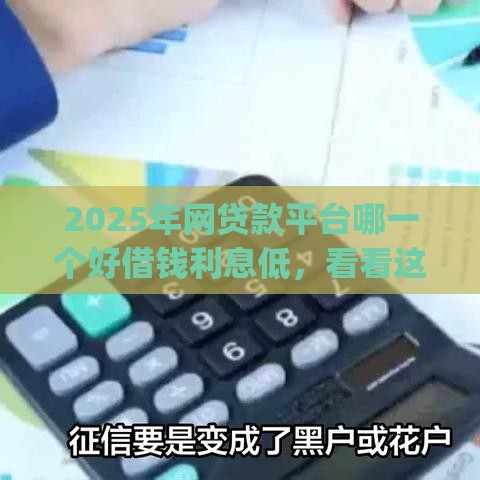 2025年网贷款平台哪一个好借钱利息低,看看这五个最新黑户花户能下款的app口子 2025年网贷款平台哪一个好借钱利息低,看看这五个最新黑户花户能下款的app口子