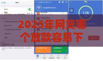 2025年网贷哪个放款容易下款的：看看这五个2025热门网贷平台都