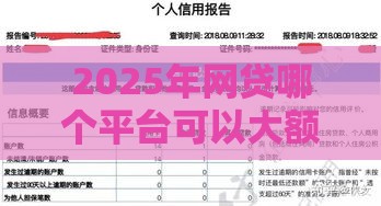 2025年网贷哪个平台可以大额贷款，公布5个最新网贷最靠谱的平台