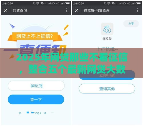 2025年网贷那些不看征信，整合五个最新网贷大数据查询平台