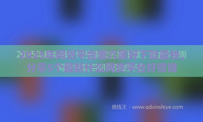 2025年网贷平台哪六家好下款最快，分享5个最新什么网贷平台好借钱