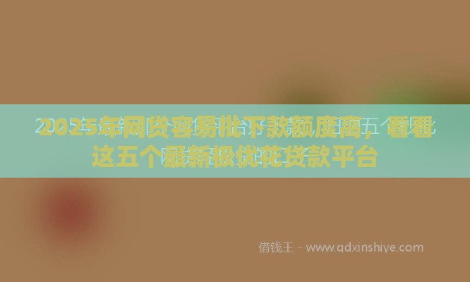2025年网贷容易批下款额度高，看看这五个最新极优花贷款平台