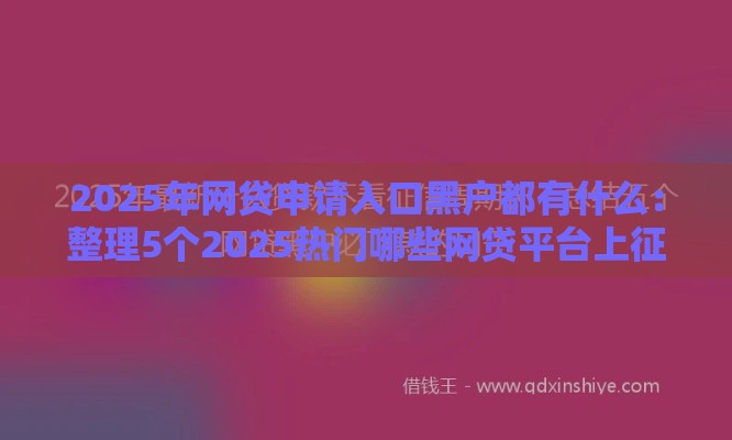 2025年网贷申请入口黑户都有什么：整理5个2025热门哪些网贷平台上征信