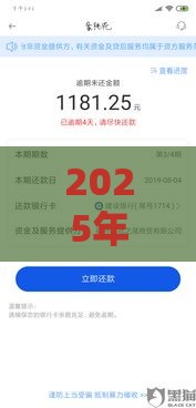 2025年网贷是哪一类贷款好下款：看看这五个2025热门融享花一样的平台