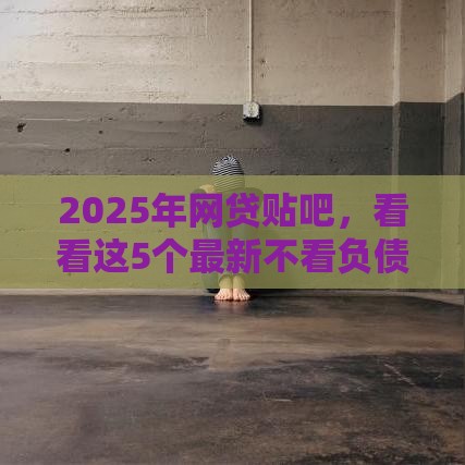 2025年网贷贴吧，看看这5个最新不看负债的贷款平台