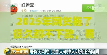 2025年网贷拖了很久都不下款，看看这五个最新小额平台借钱容易通过不看征信