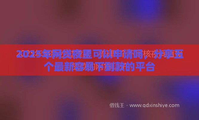 2025年网贷夜里可以申请吗，分享五个最新容易下到款的平台