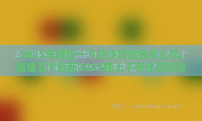 2025年网贷一下赶快放款会怎么样，梳理五个最新2025晚上不审核直接放款口子