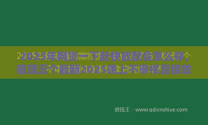 2025年网贷一下赶快放款会怎么样，梳理五个最新2025晚上不审核直接放款口子