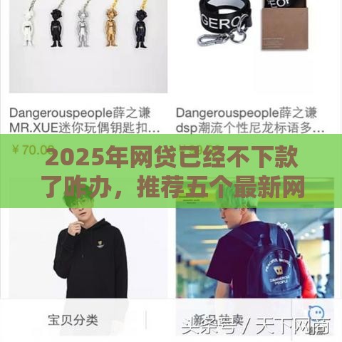 2025年网贷已经不下款了咋办，推荐五个最新网商贷平台