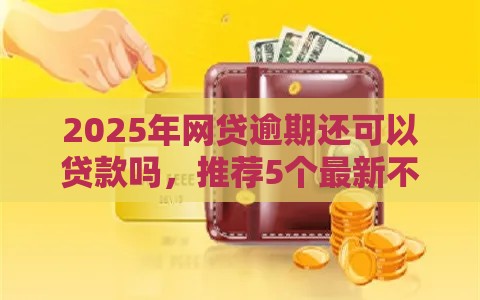 2025年网贷逾期还可以贷款吗，推荐5个最新不看征信小贷口子