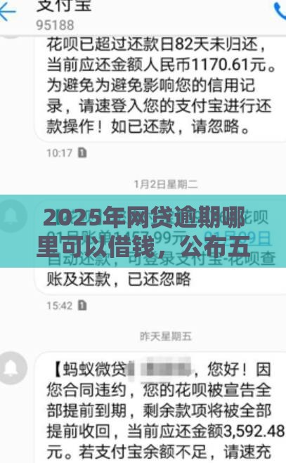 2025年网贷逾期哪里可以借钱，公布五个最新借钱平台容易通过的