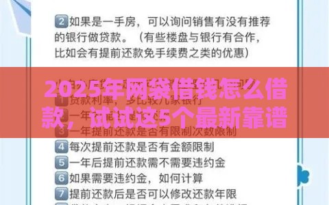 2025年网袋借钱怎么借款，试试这5个最新靠谱的车抵押贷款平台