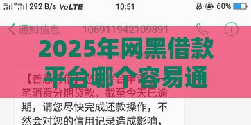 2025年网黑借款平台哪个容易通过，试试这5个最新2025容易放款的口子