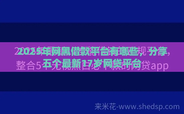 2025年网黑借款平台有哪些，分享五个最新17岁网贷平台