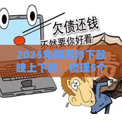 2025年网黑秒下款晚上下款，梳理5个最新第三方贷款平台