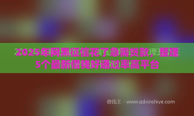 2025年网黑征信花了急需贷款，整理5个最新借钱好通过率高平台