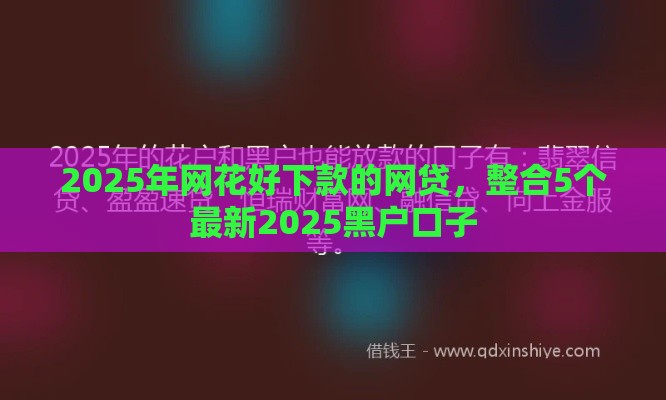 2025年网花好下款的网贷,整合5个最新2025黑户口子 2025年网花好下款的网贷,整合5个最新2025黑户口子