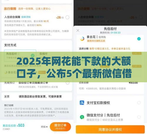 2025年网花能下款的大额口子，公布5个最新微信借钱平台