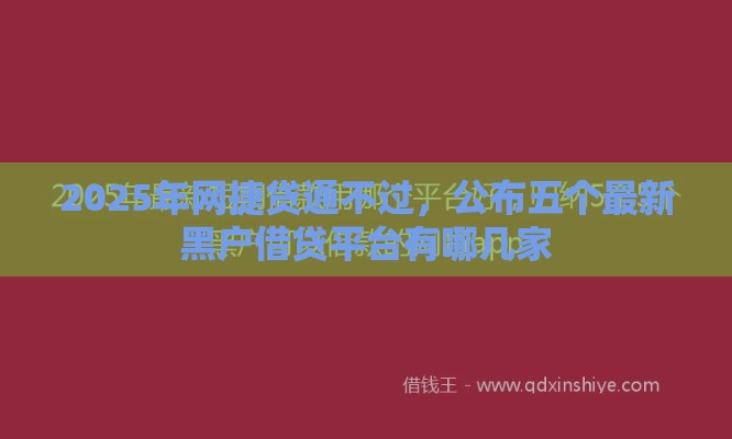 2025年网捷贷通不过，公布五个最新黑户借贷平台有哪几家