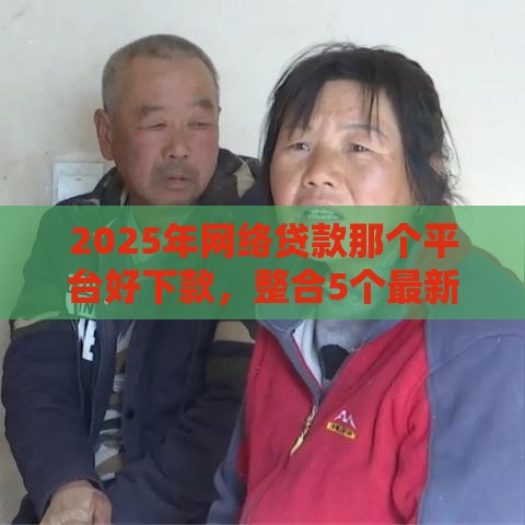 2025年网络贷款那个平台好下款，整合5个最新62岁能借钱的平台