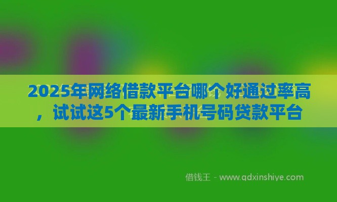 2025年网络借款平台哪个好通过率高，试试这5个最新手机号码贷款平台