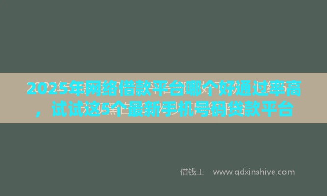 2025年网络借款平台哪个好通过率高，试试这5个最新手机号码贷款平台