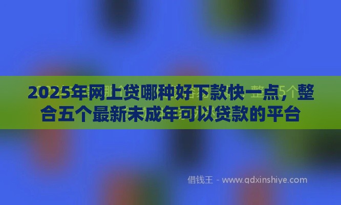 2025年网上贷哪种好下款快一点，整合五个最新未成年可以贷款的平台
