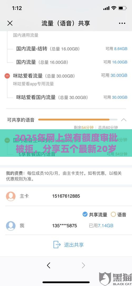 2025年网上贷有额度审批被拒，分享五个最新20岁黑户借钱平台秒过小额