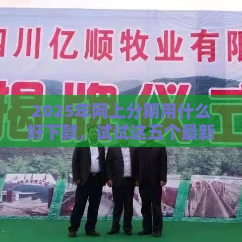 2025年网上分期用什么好下款，试试这五个最新回收类贷款口子