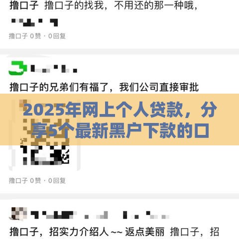 2025年网上个人贷款，分享5个最新黑户下款的口子还