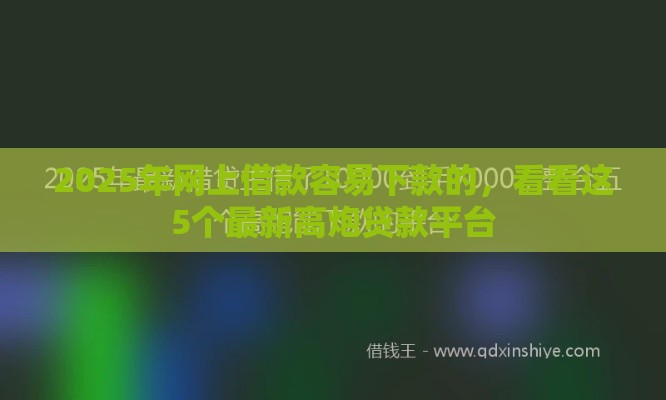 2025年网上借款容易下款的，看看这5个最新高炮贷款平台