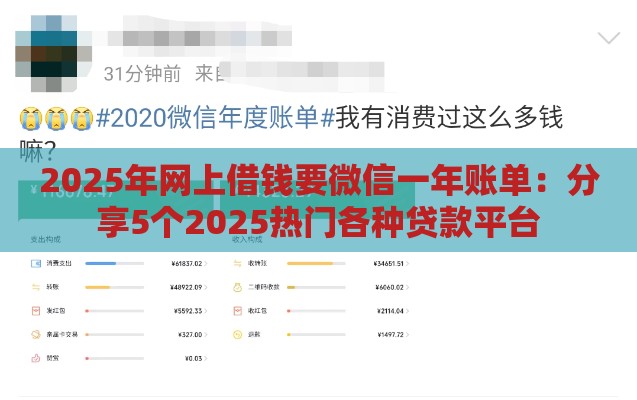 2025年网上借钱要微信一年账单：分享5个2025热门各种贷款平台