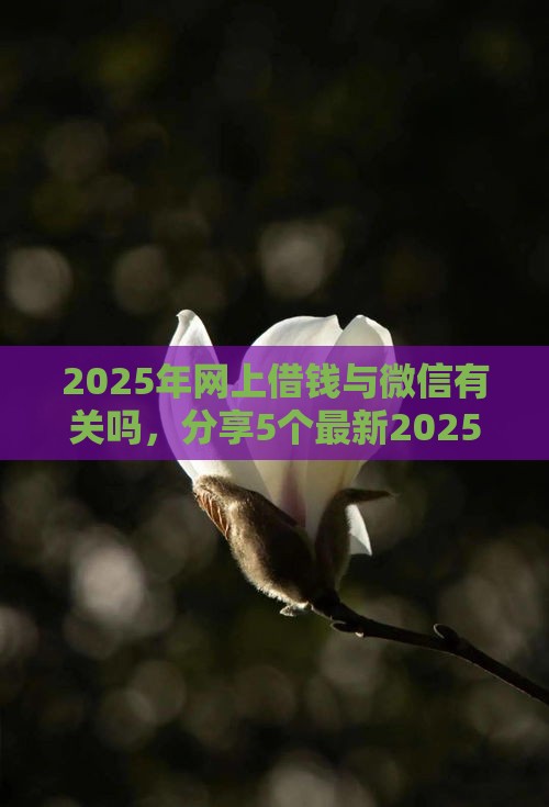 2025年网上借钱与微信有关吗，分享5个最新2025高炮口子秒下款免审核