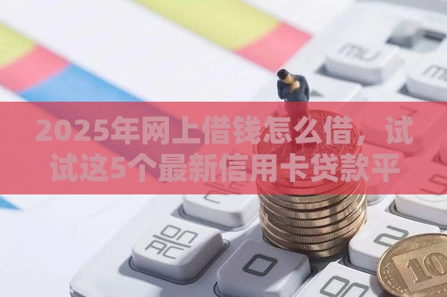 2025年网上借钱怎么借，试试这5个最新信用卡贷款平台