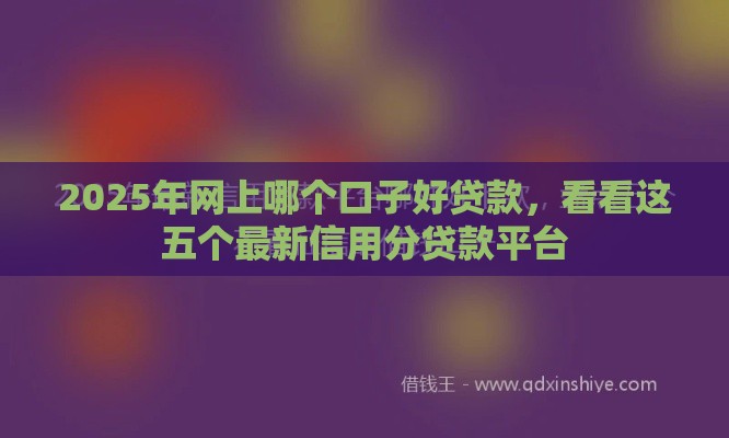 2025年网上哪个口子好贷款，看看这五个最新信用分贷款平台