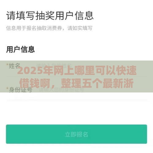 2025年网上哪里可以快速借钱啊，整理五个最新浙江车贷网平台