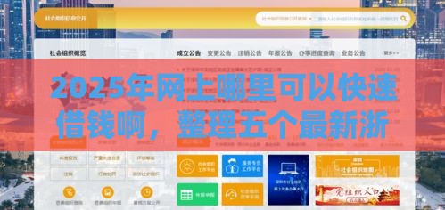 2025年网上哪里可以快速借钱啊，整理五个最新浙江车贷网平台