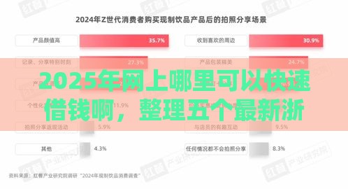 2025年网上哪里可以快速借钱啊，整理五个最新浙江车贷网平台