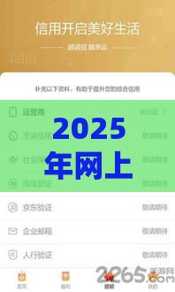 2025年网上平台下款王怎么借钱：看看这5个2025热门二手车贷款平台好