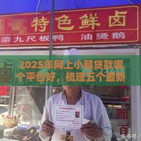 2025年网上小额贷款哪个平台好，梳理五个最新贷款平台怎么投诉