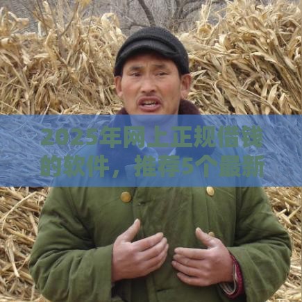 2025年网上正规借钱的软件，推荐5个最新最新撸口子