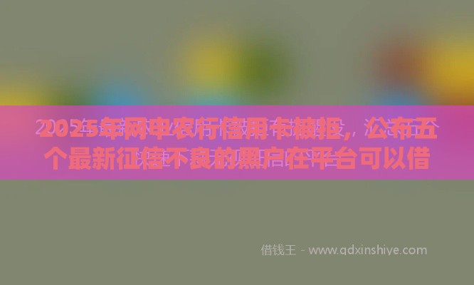 2025年网申农行信用卡被拒，公布五个最新征信不良的黑户在平台可以借款