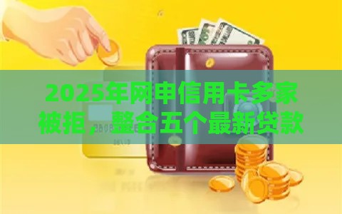2025年网申信用卡多家被拒，整合五个最新贷款两万的平台