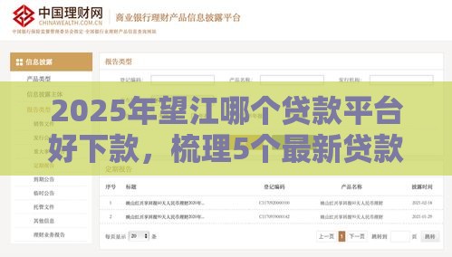 2025年望江哪个贷款平台好下款，梳理5个最新贷款平台好贷款
