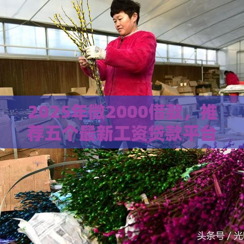 2025年微2000借款,推荐五个最新工资贷款平台 2025年微2000借款,推荐五个最新工资贷款平台