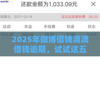 2025年微博借钱滴滴借钱逾期，试试这五个最新16岁可以贷款的平台