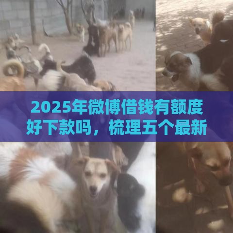 2025年微博借钱有额度好下款吗，梳理五个最新黑户借贷平台